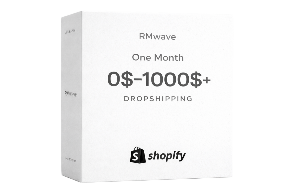 RM DROPSHIPPING BLUEPRINT (10 Mistakes That Stop Beginners From Making Sales + Personal Consultation)