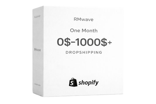 RM DROPSHIPPING BLUEPRINT (10 Mistakes That Stop Beginners From Making Sales + Personal Consultation)